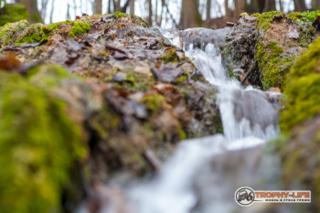 _MG_8379.jpg