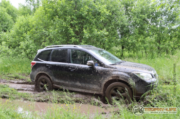 Трофи-лайф Вокруг Плещеева озера 20.06.2020 - 48.JPG