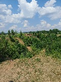 IMG_20260612_132900_062.jpg
