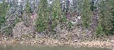 IMG_20231105_111739.jpg