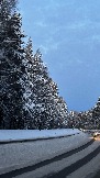 IMG_2844.JPG