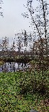 IMG_20231104_104419.jpg