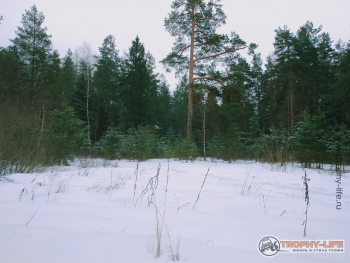 Фото Трофи-лайф 4х4 покатушка Мещерские Скитания 30.01.21 -19.jpg