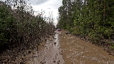 Трофи-лайф фото 4х4 покатушка Каширский зигзаг 06.04.2024 -  (88).png