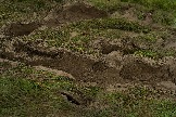 Трофи-лайф Фото корпоративное мероприятие на внедорожниках  (105).jpg