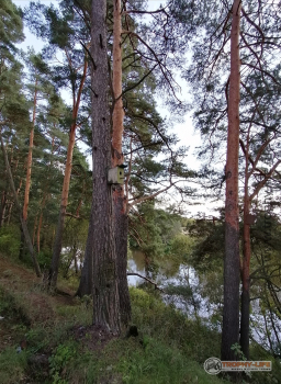 Фото Трофи-лайф 4х4 покатушка Покровский Пряник 04.09.21 - 266.jpg