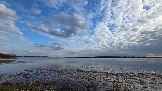 20260501_175435.jpg