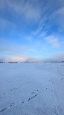IMG_8775.jpg
