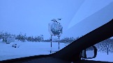20251120_095009.jpg