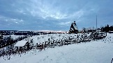 IMG_5695.jpg