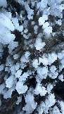 989BAACC-208D-4DB1-9F78-F01E38436681.jpeg