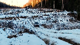 Трофи-лайф фото 4х4 покатушка Гремячий Ключ 22.02.2025 -  (87).jpg