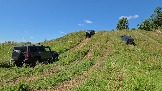 20260801_115931.jpg