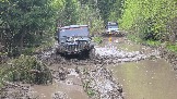 20260510_120717.jpg