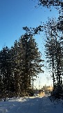 IMG_3006.JPG