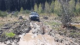 20250426_114428.jpg