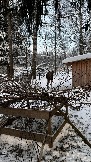 IMG_3456.JPG