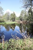 Фото Трофи-лайф 4х4 покатушка Мещерские Озёра 6-9.05.23 - 117.jpg