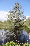 Фото Трофи-лайф 4х4 покатушка Мещерские Озёра 6-9.05.23 - 116.jpg