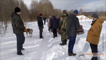 Фото Трофи-лайф 4х4 краеведческая покатушка Дмитровская Игрушка 06.03.21 - 15.jpg