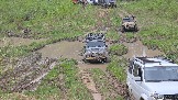 20260510_142950.jpg