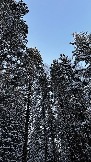 IMG_3059.JPG
