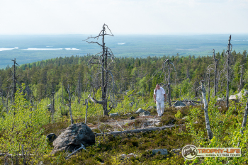 _DSC7370.jpg