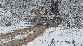 20251115_124147.jpg