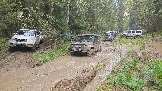 20260510_131103.jpg