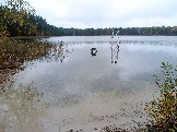 2023-10-09 11-00-03.JPG
