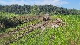 20260801_135303.jpg