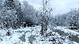 Трофи-лайф фото 4х4 покатушка Можайские Тропы 15.11.2025 - (21).jpg