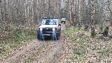 Трофи-лайф фото 4х4 покатушка Шатурские Тайны 03.11.2024 -  (12).png