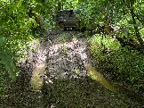 IMG_1032.JPG