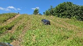 20260801_120241.jpg