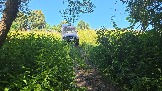 20260801_123807.jpg