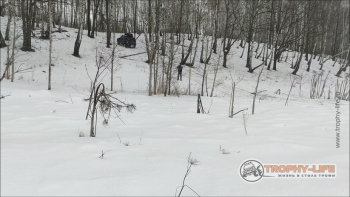 Фото Трофи-лайф 4х4 покатушка Володарские Овраги 04.02.23 - 288.jpg