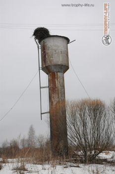 Фото Трофи-лайф 4х4 экспедиция Бородино - Гагарин 21-23.02.15 -66.JPG