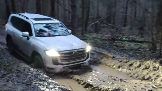 Моментальный снимок 22 (07.11.2023 21-48).png