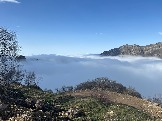 IMG_8547.JPEG