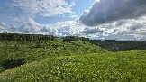 20250613_160447.jpg