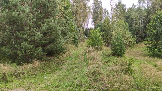 Трофи-лайф фото 4х4 покатушка Каширский зигзаг 17.08.2024 -  (1).png