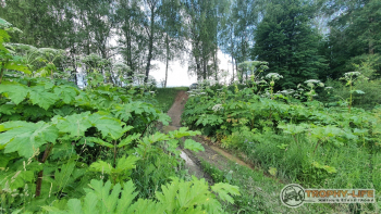 Трофи-лайф Каширское бездорожье 01.07.2020 - 68.jpg
