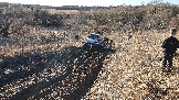 20250308_162808.jpg