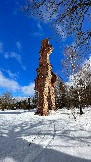 IMG_1339.jpg