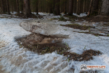 _MG_0575.jpg