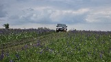 20250612_154646.jpg