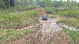 20260510_141424.jpg