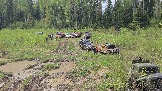 20260510_144321.jpg