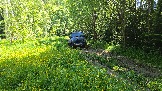 20260606_115021.jpg
